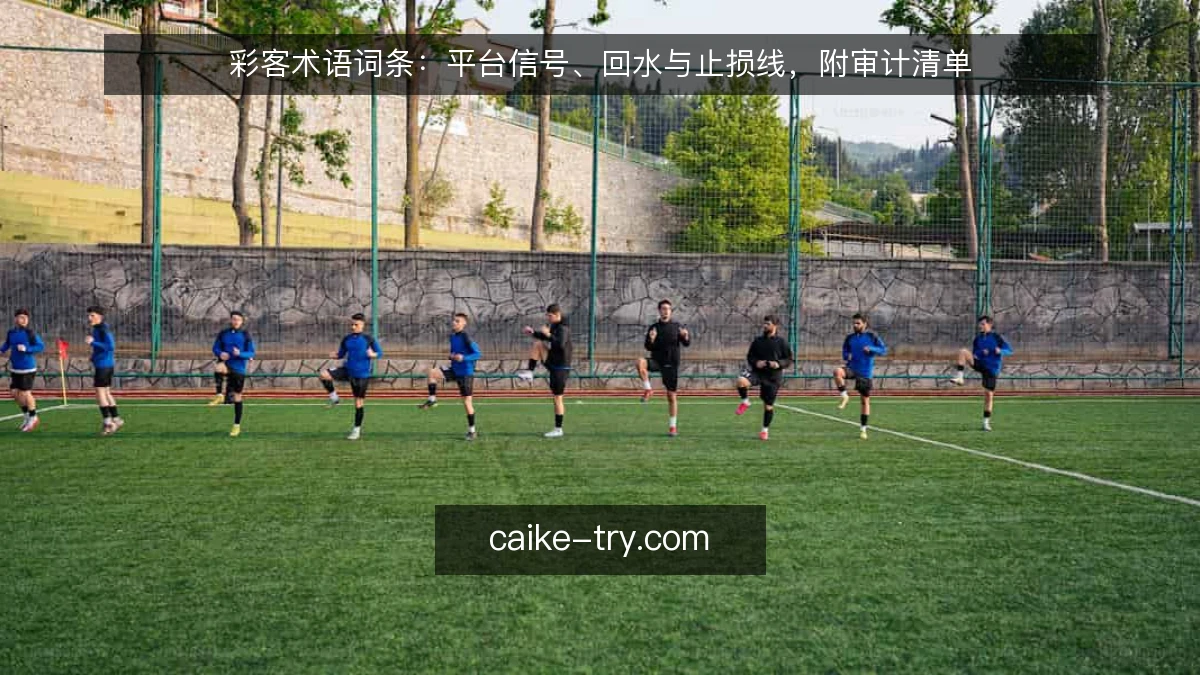 彩客术语词条：平台信号、回水与止损线，附审计清单
