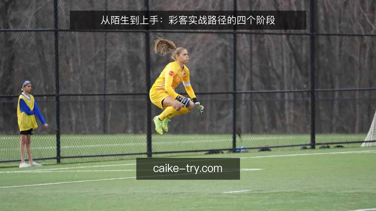 从陌生到上手：彩客实战路径的四个阶段