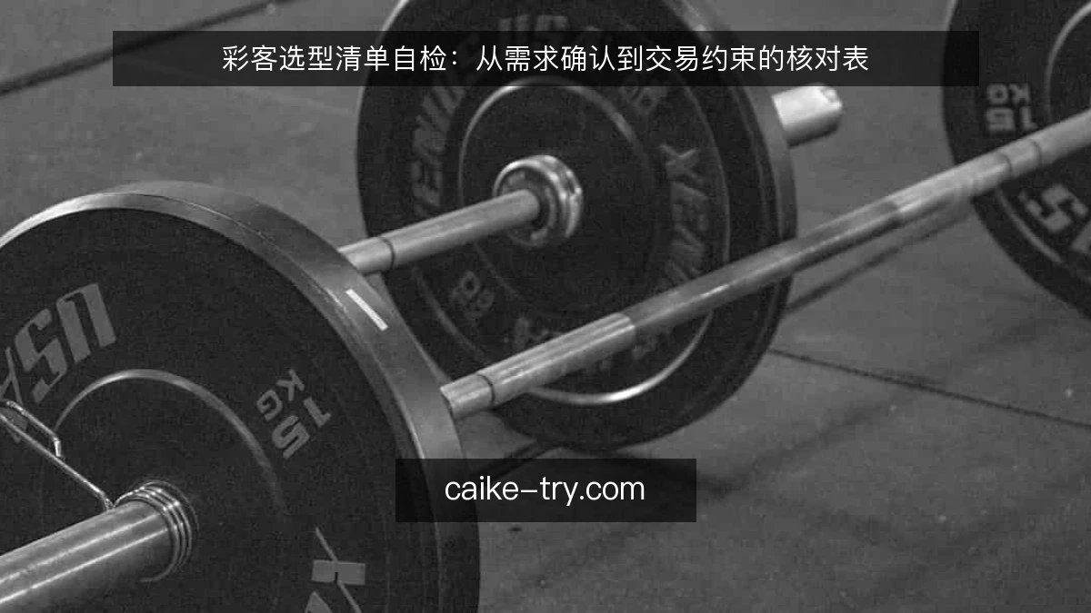 彩客选型清单自检：从需求确认到交易约束的核对表
