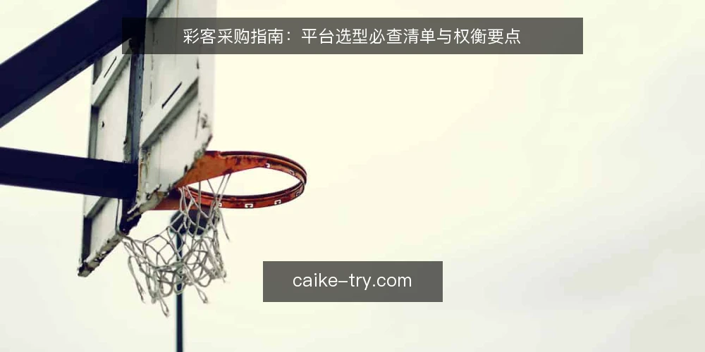 彩客采购指南：平台选型必查清单与权衡要点 — 为什么现在要做一次彩客采购审计 配图