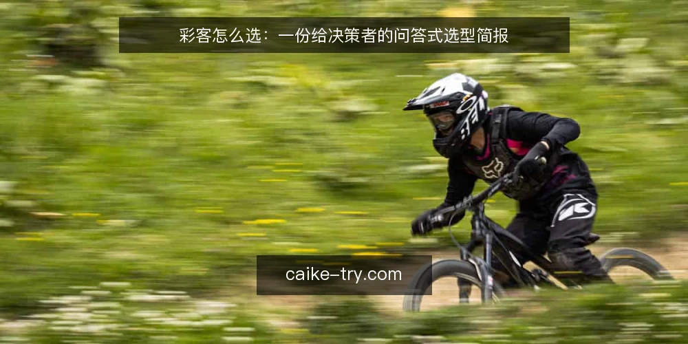 彩客怎么选：一份给决策者的问答式选型简报 — 我们到底需要彩客解决什么问题？ 配图