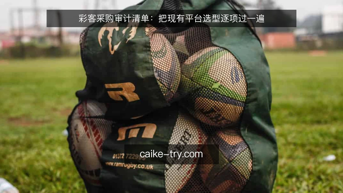 彩客采购审计清单:把现有平台选型逐项过一遍